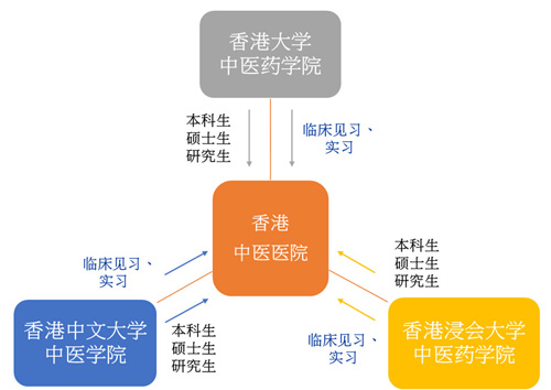 香港中医医院教育及培训示意图